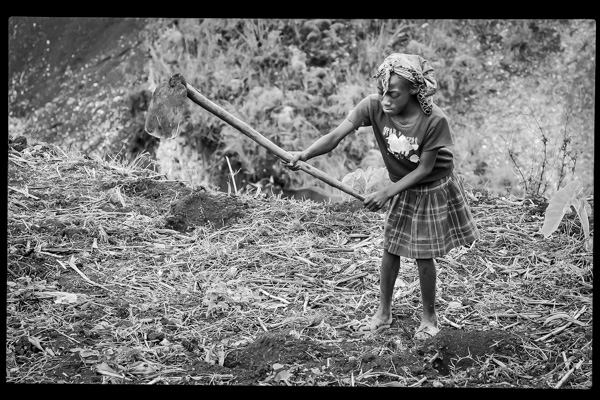 haiti hunger